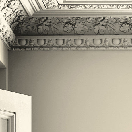 Laura Ashley Primrose White Paint