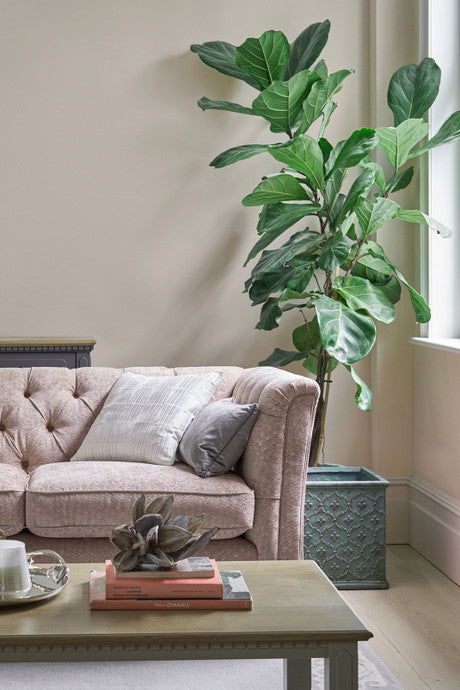 Laura Ashley Soft Natural Paint