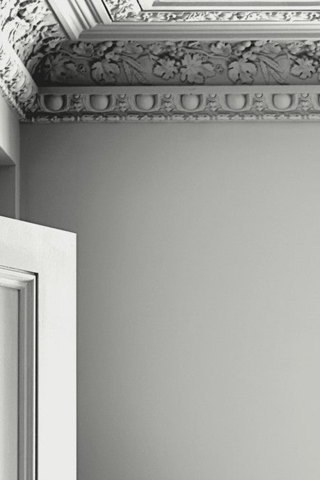 Laura Ashley Pale Sage Leaf Paint