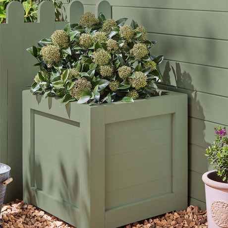 Laura Ashley Hedgerow Paint