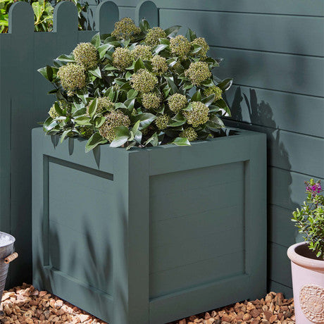 Laura Ashley Fern Paint