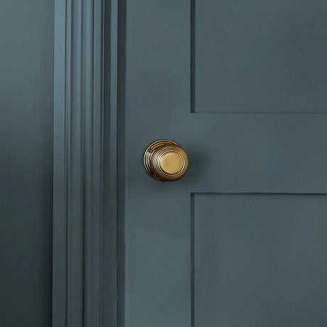 William Morris at Home Elm House Paint