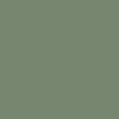 William Morris at Home Outstretch Paint