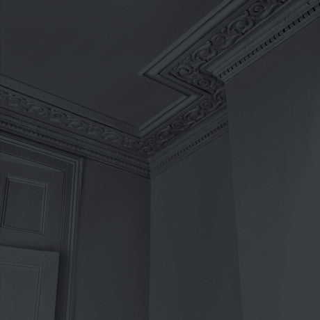 Abigail Ahern Broome Coast Paint