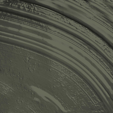 Abigail Ahern Desert Saltbush Paint