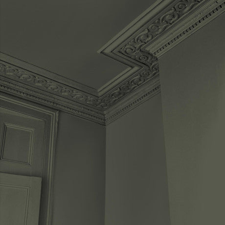 Abigail Ahern Desert Saltbush Paint