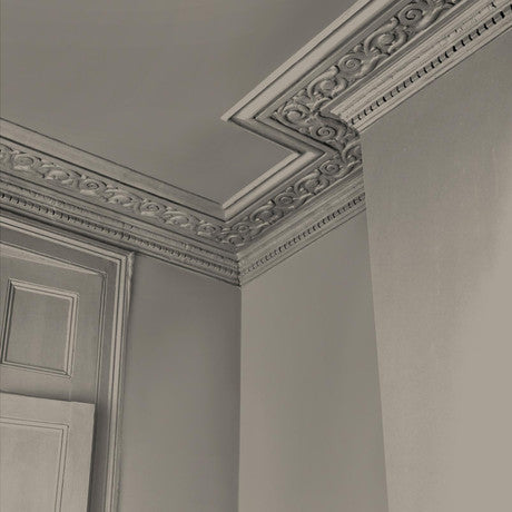 Abigail Ahern Loch Reeds Paint