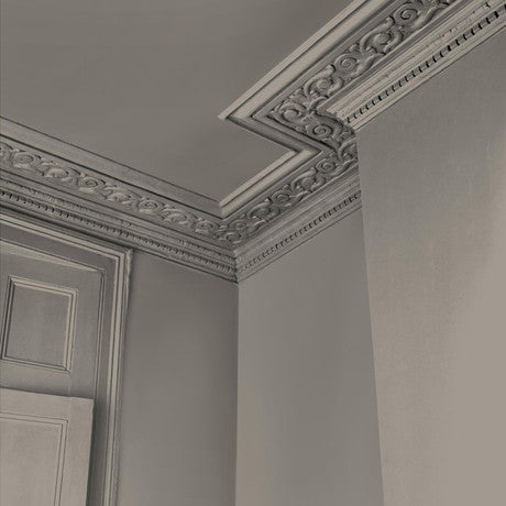 Abigail Ahern Anaise Greige Paint