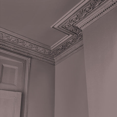 Abigail Ahern Sequoia Tree Paint