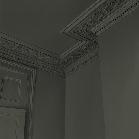 Abigail Ahern Sea Botanic Paint