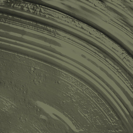 Abigail Ahern Seagrass Meadow Paint