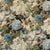 Mulberry Home Fabric FLORAL POMPADOUR VELVET SAGE