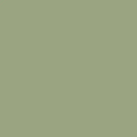 Panache Paint