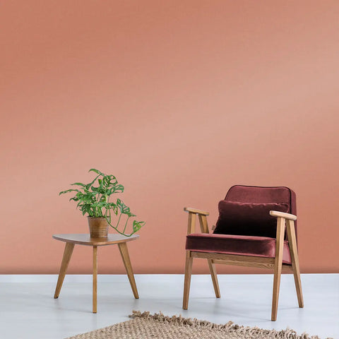 Sienna Paint
