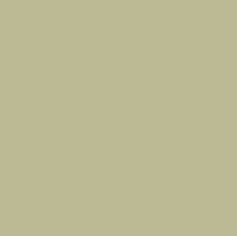 Graham & Brown Viridis Paint Square