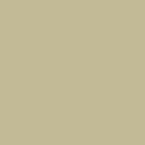 Calma Paint