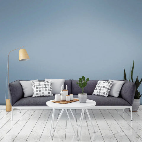 Panoramic Paint