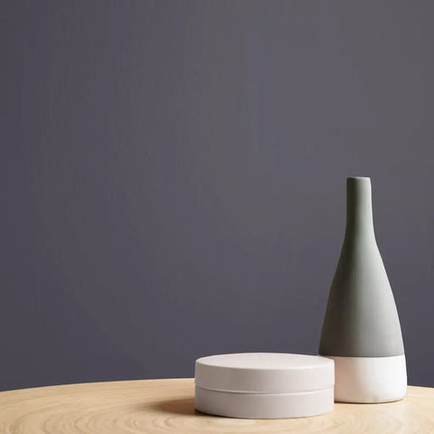 Graham & Brown Velvet Fig Paint Vases