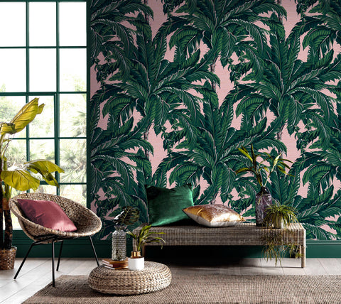 Daintree Palm Wallpaper