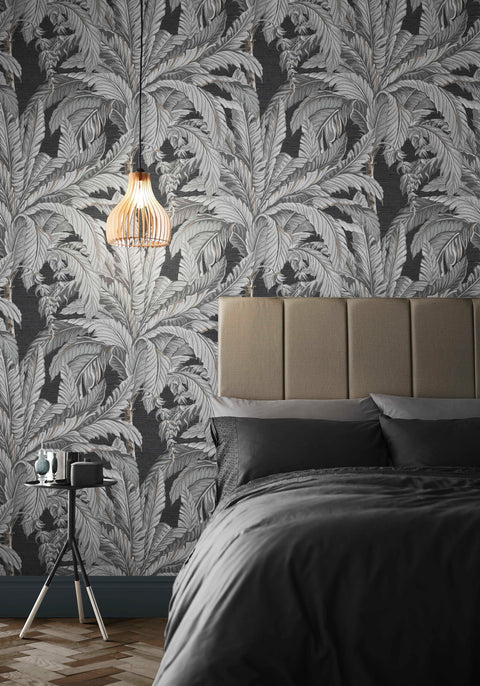 Daintree Palm Wallpaper