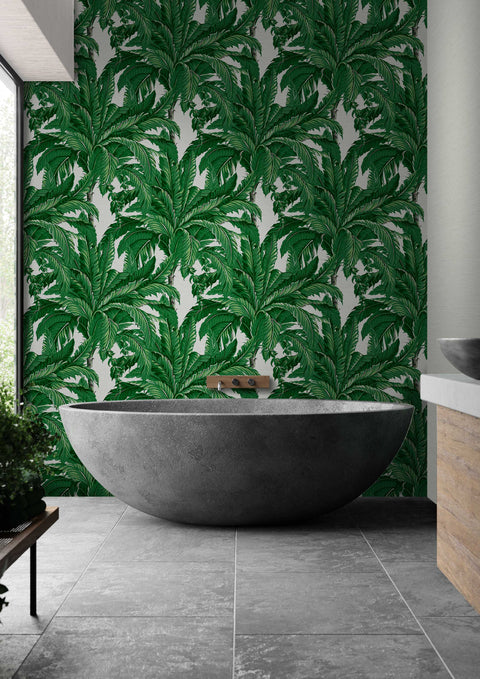 Daintree Palm Wallpaper