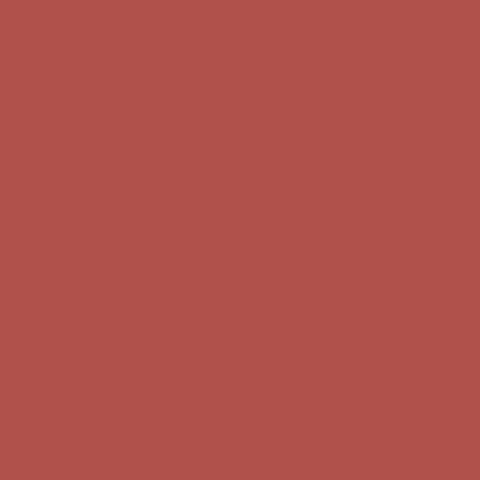 King of Paradise Paint