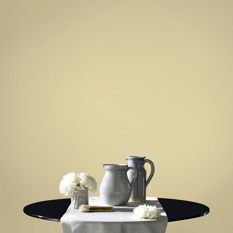 Morritz Paint