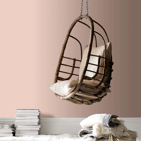 Muted Blush Paint