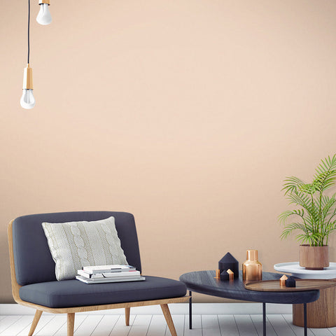 Peach Pit Paint