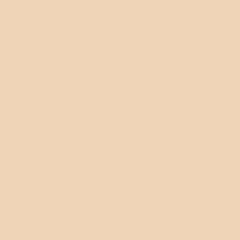 Peach Pit Paint