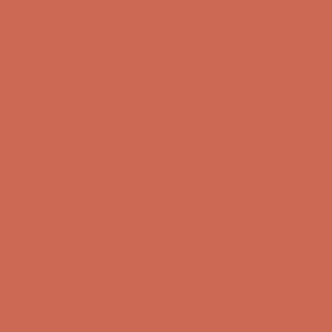 Sundance Paint
