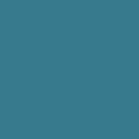 Teal the Show Paint