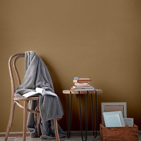 Toasted Teacake Paint