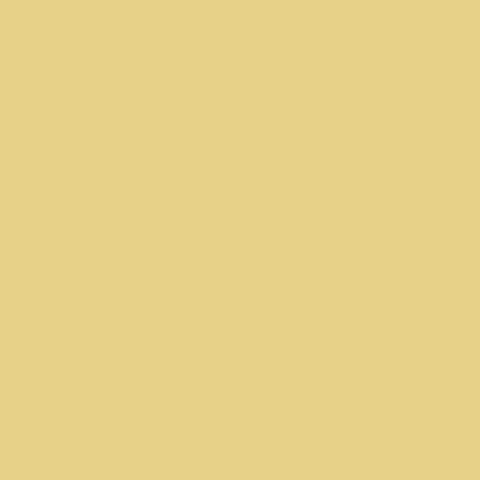 Tutti Fruitti Paint